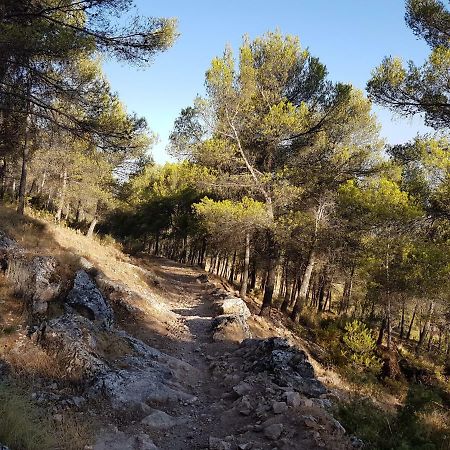 Apartamentos Rurales La Dehesa Del Acebuche Jaén Exteriör bild