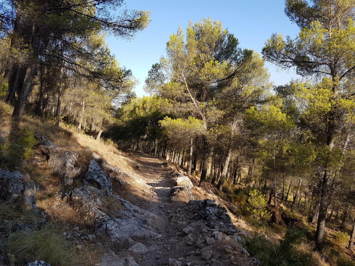 Apartamentos Rurales La Dehesa Del Acebuche Jaén Exteriör bild