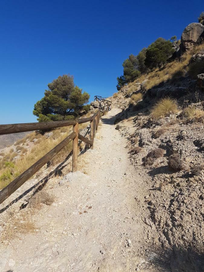 Apartamentos Rurales La Dehesa Del Acebuche Jaén Exteriör bild