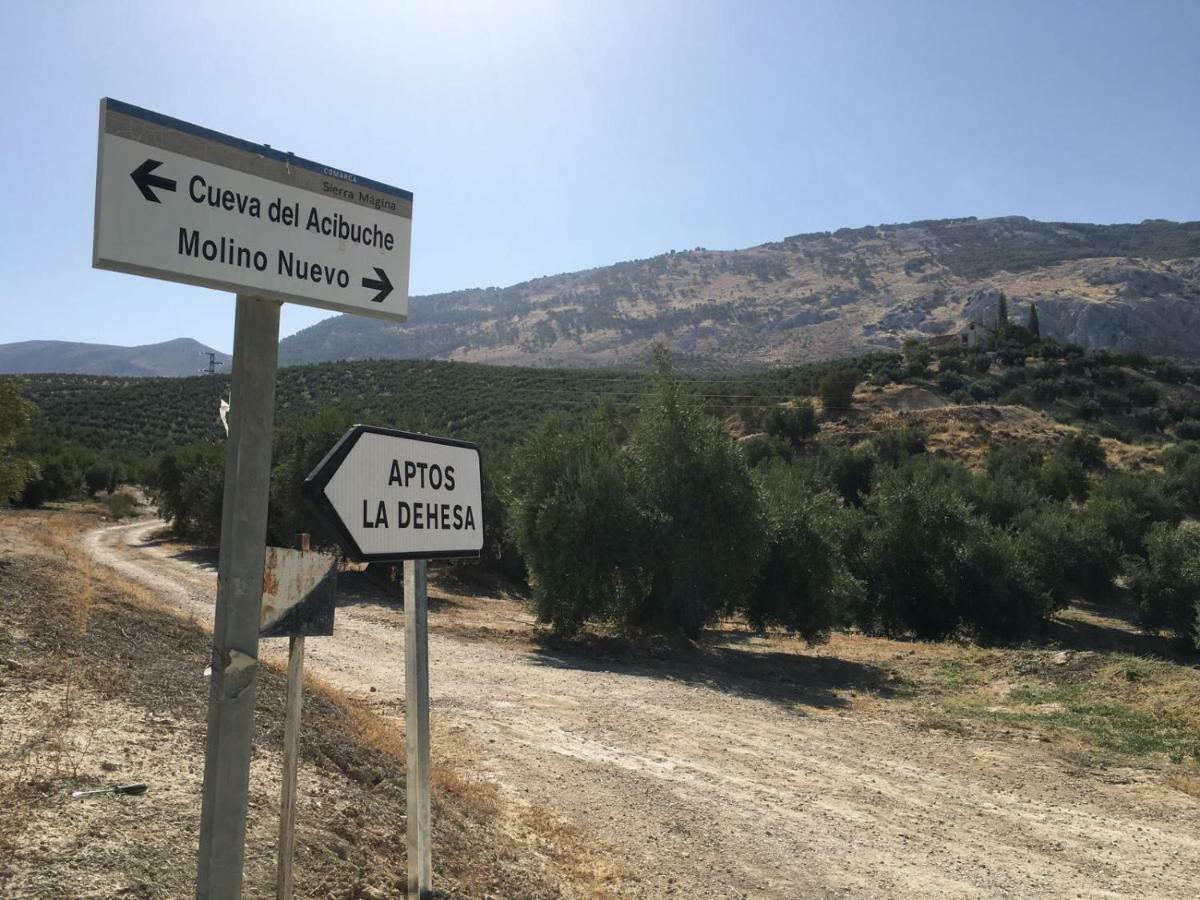Apartamentos Rurales La Dehesa Del Acebuche Jaén Exteriör bild