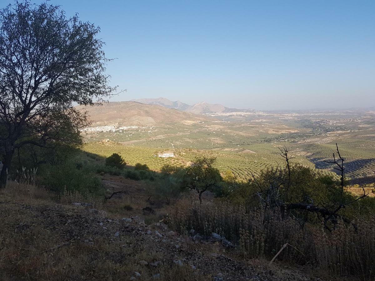Apartamentos Rurales La Dehesa Del Acebuche Jaén Exteriör bild